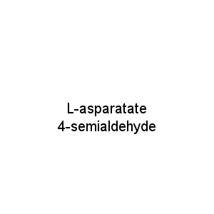 L-asparatate 4-semialdehyde